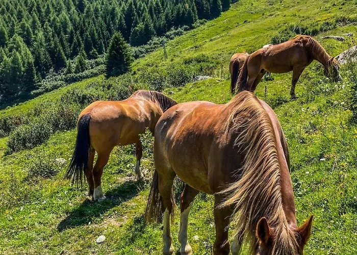 Mit Blick In Berge By Interhome Apartamento