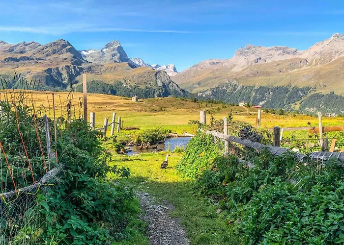 Mit Blick In Berge By Interhome Apartamento Bivio