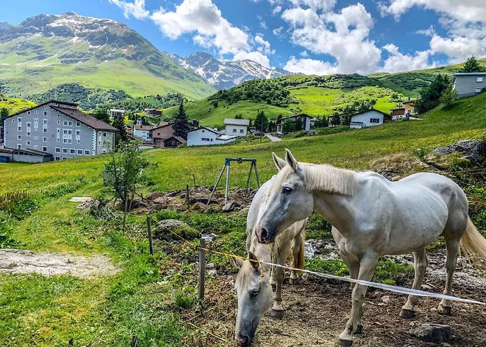 Mit Blick In Berge By Interhome Apartment Bivio