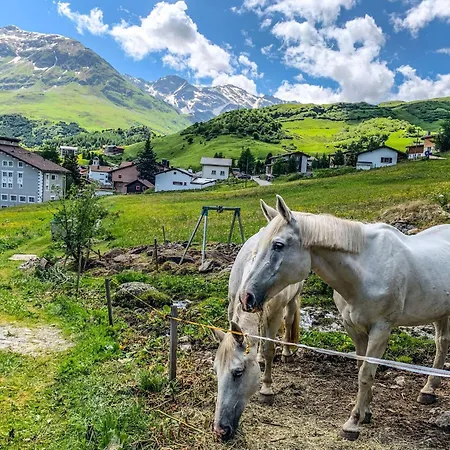 Mit Blick In Berge By Interhome Apartamento Bivio